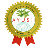 ChatGPT Image Sep 9, 2025, 02_39_58 PM