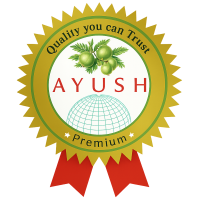 ChatGPT Image Sep 9, 2025, 02_39_58 PM